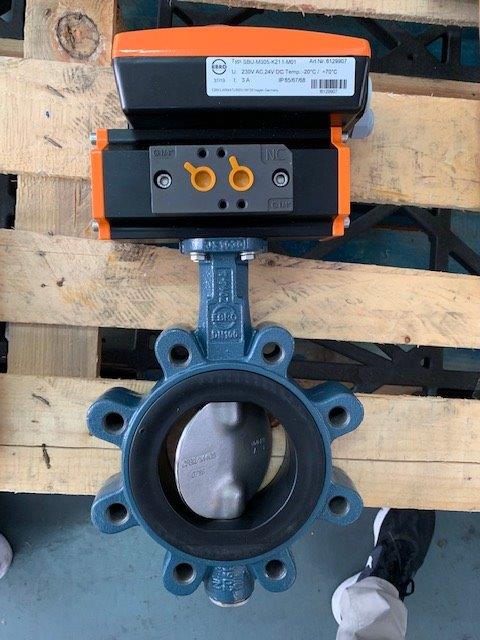 Lug butterfly valve with pneumatic actuator